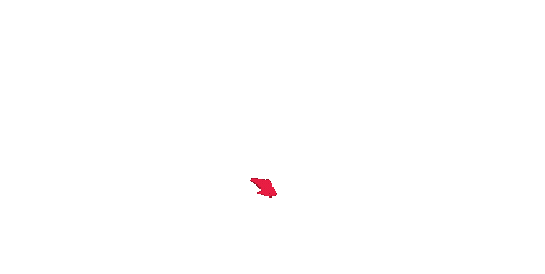 FRONTALSHOP Logo